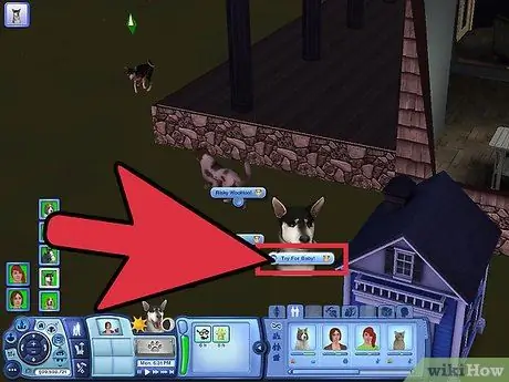 Разводите своих питомцев на The Sims 3 Pets (Pc) Шаг 1