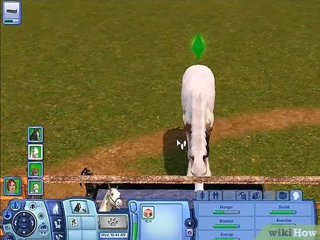 Разводите своих питомцев в The Sims 3 Pets (Pc) Шаг 10