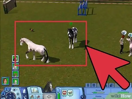 Разводите своих питомцев в The Sims 3 Pets (Pc), шаг 11
