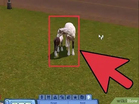 Разводите своих питомцев в The Sims 3 Pets (Pc), шаг 12