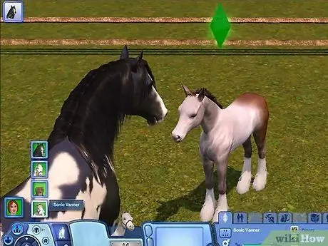 Разводите своих питомцев в The Sims 3 Pets (Pc), шаг 13
