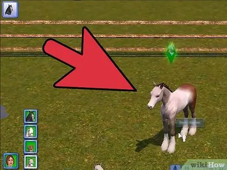 Разводите своих питомцев в The Sims 3 Pets (Pc), шаг 14