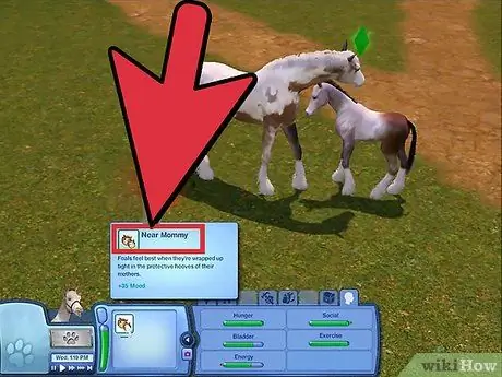 Разводите своих питомцев в The Sims 3 Pets (Pc) Шаг 15