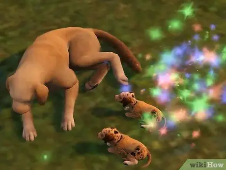 Разводите своих питомцев в The Sims 3 Pets (Pc), шаг 2