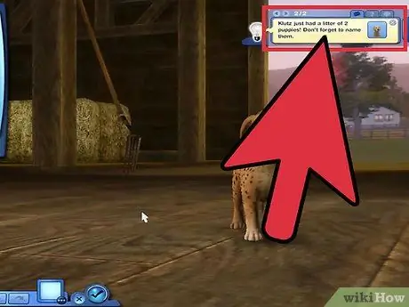 Разводите своих питомцев на The Sims 3 Pets (Pc) Шаг 3