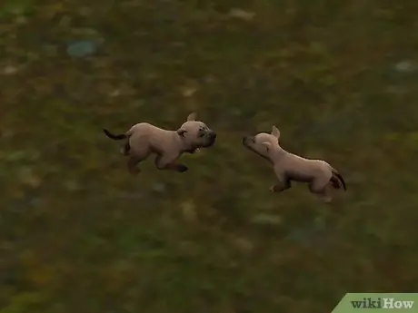 Разводите своих питомцев в The Sims 3 Pets (Pc) Шаг 5