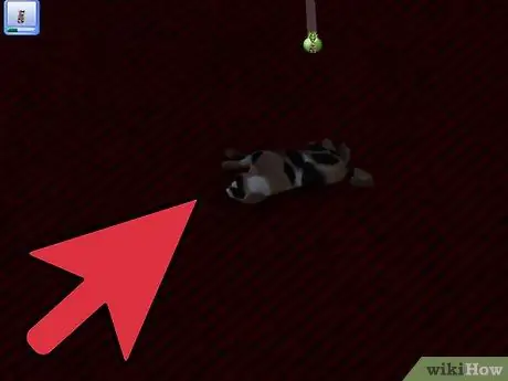 Разводите своих питомцев в The Sims 3 Pets (Pc) Шаг 7