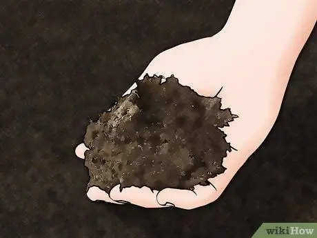 Выращивание крыжовника Шаг 4