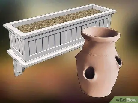 Выращивайте фрукты в горшках, шаг 2