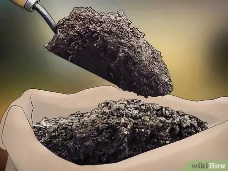 Выращивать фрукты в горшках Шаг 4