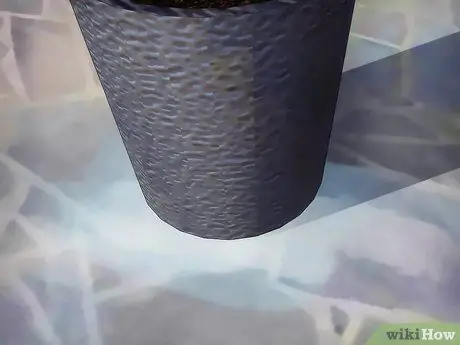 Выращивать фрукты в горшках Шаг 8