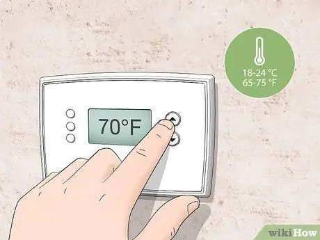 Поливайте фиговое дерево с листьями скрипки Шаг 7