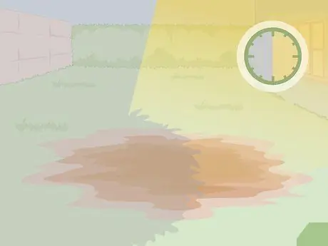 Уход за кровоточащим сердцем Шаг 1