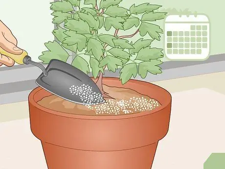 Уход за кровоточащим сердцем Шаг 12