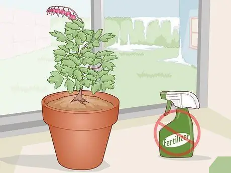 Уход за кровоточащим сердцем Шаг 18