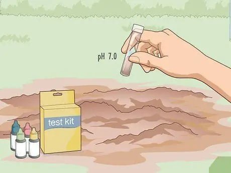 Уход за кровоточащим сердцем Шаг 3