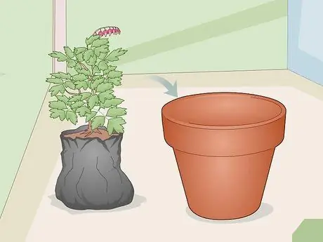 Уход за кровоточащим сердцем Шаг 5