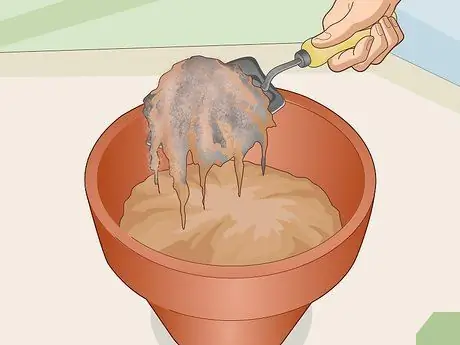 Уход за кровоточащим сердцем Шаг 6