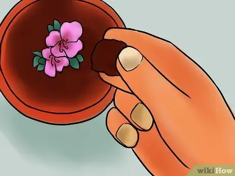 Уход за азалиями Шаг 13