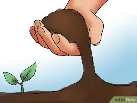 Уход за азалиями Шаг 3