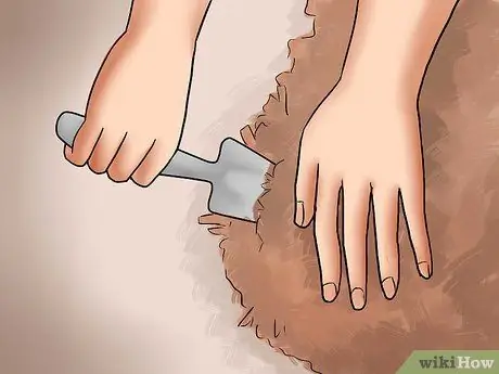 Уход за азалиями Шаг 6