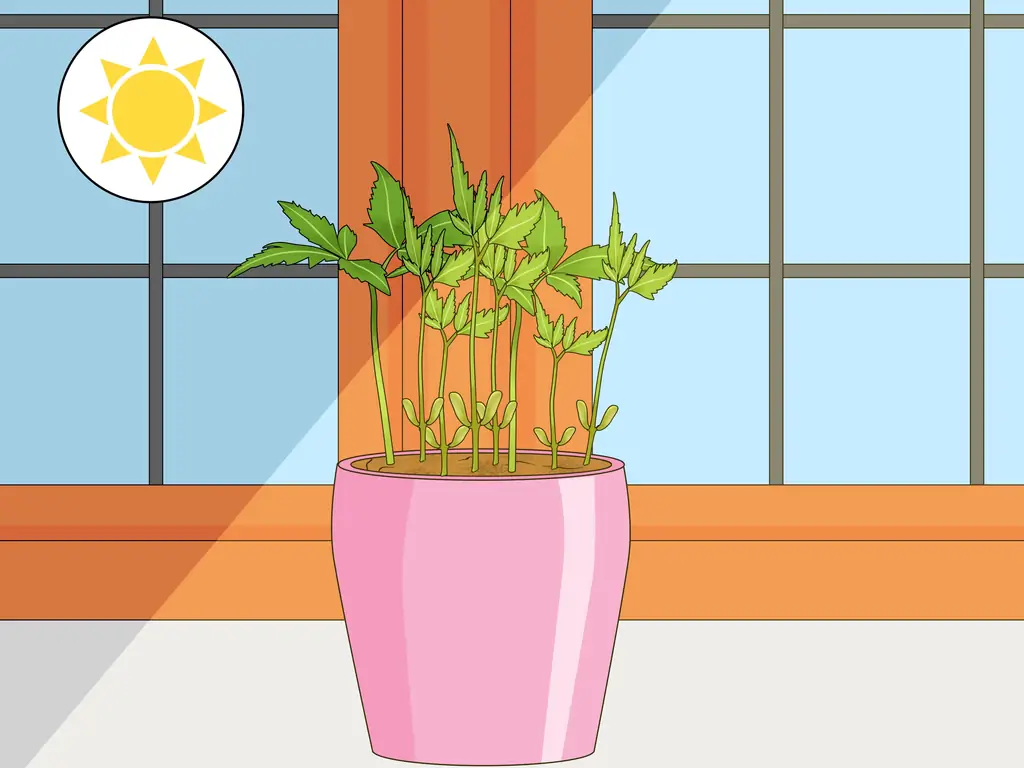 3 пути к мертвым мамам