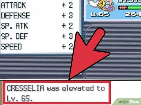 Создайте хорошую команду на Pokemon Diamond and Pearl Шаг 8 Создайте хорошую команду на Pokemon Diamond and Pearl Шаг 8