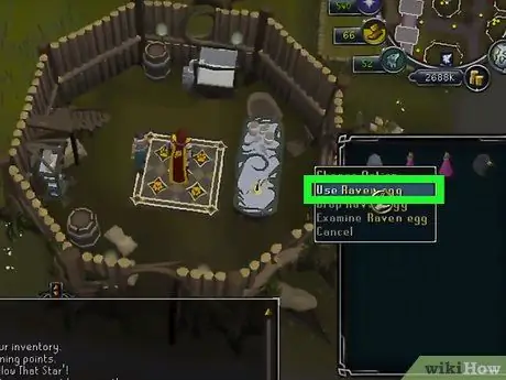 Завести питомца в RuneScape, шаг 6 Завести питомца в RuneScape, шаг 6