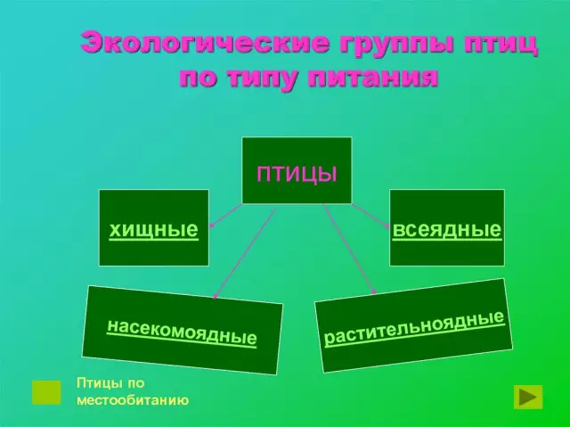 Экологические аспекты загородной жизни