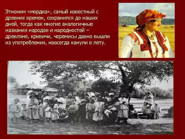 История ландшафтного дизайна: от древних времен до наших дней