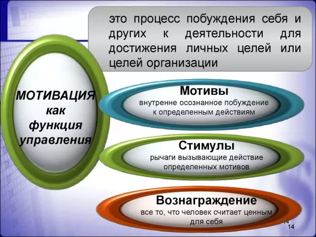 Создание идеального сада: Основные принципы планирования