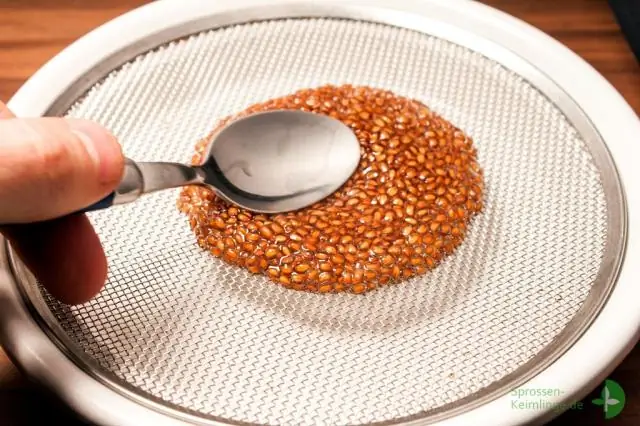 Легко ли вырастить гвоздики из семян?