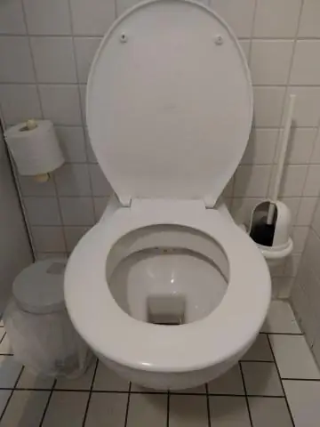 Что такое унитаз с сифоном?