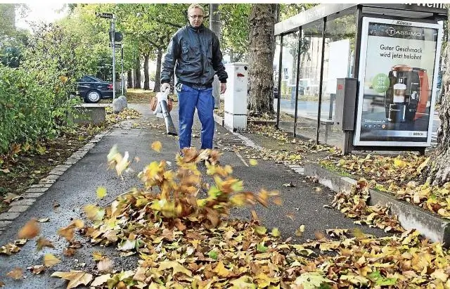 Вы можете сдуть листья на улицу в Великобритании?