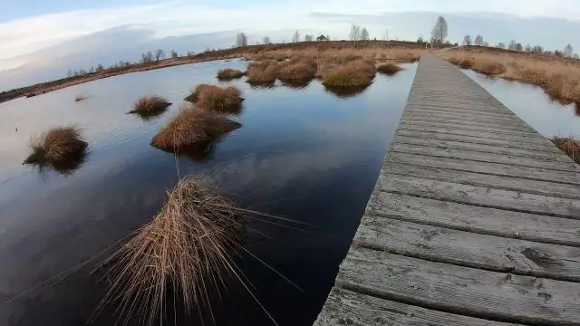 Что такое прудинг с водой?