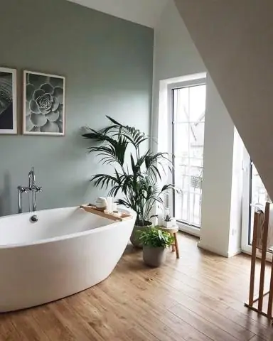 Белый голубь - хороший цвет для стен?