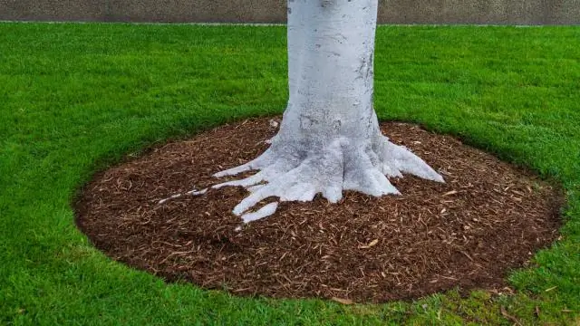 Как замедлить дерево в воде?