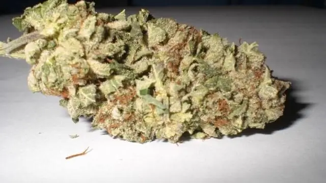 Можете ли вы использовать клей Gorilla Glue, чтобы залатать надувной матрас?