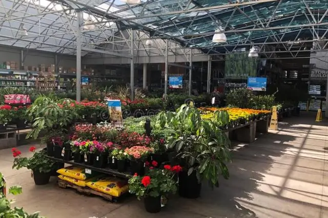 Продает ли Lowes раствор Mapei?