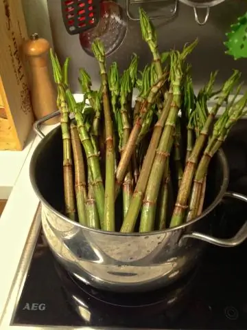 Съедобны ли японские фонарики?