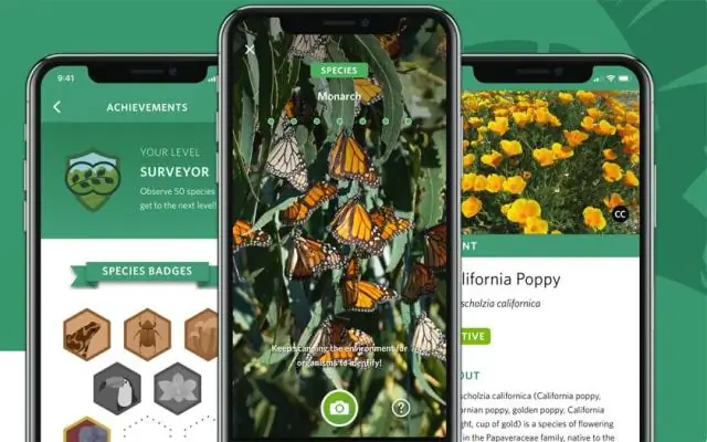 Есть ли приложение для идентификации фруктов?
