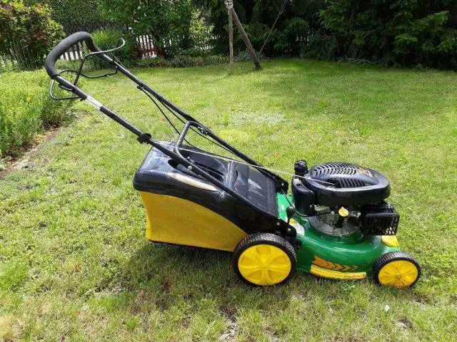 Сколько стоит стрижка газона?