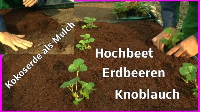 Когда можно сажать в Сакраменто?