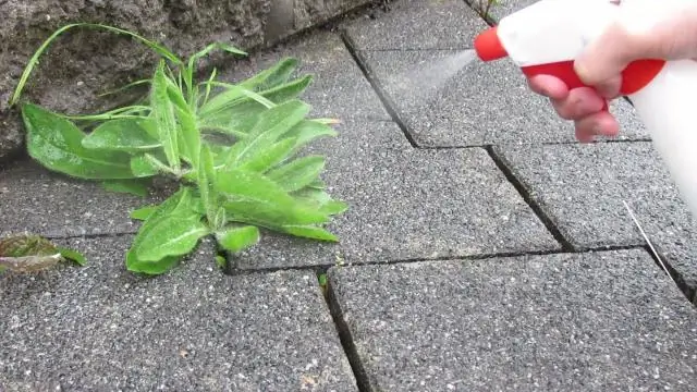 Можно ли убивать сорняки брезентом?