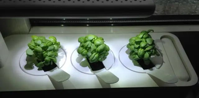 Как долго длится щелчок и выращивание растений?