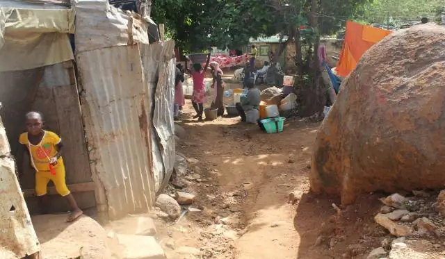 Где сажать герань?