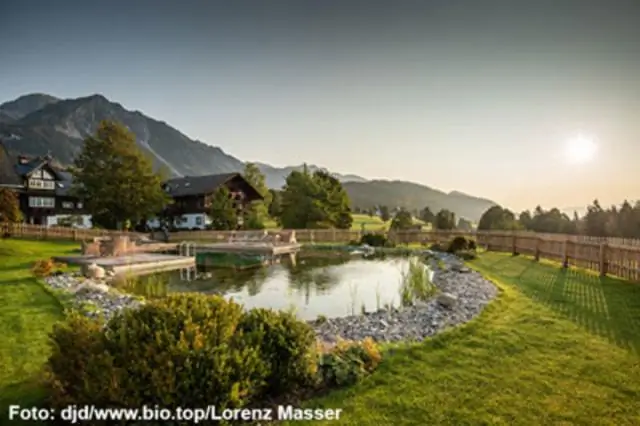 Как чистить брусчатку хлором?