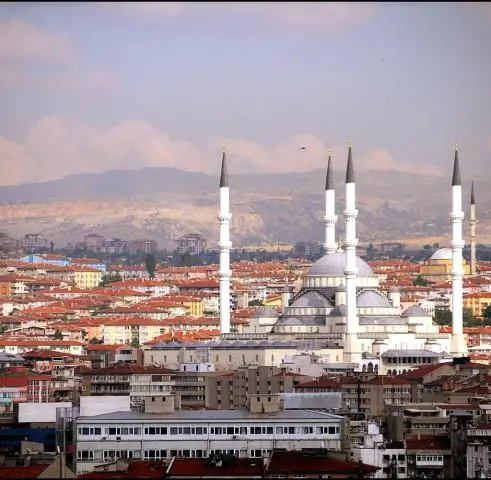 Как быстро растет ангельская труба?