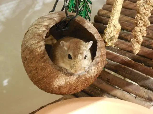 Насколько большим должен быть бра?