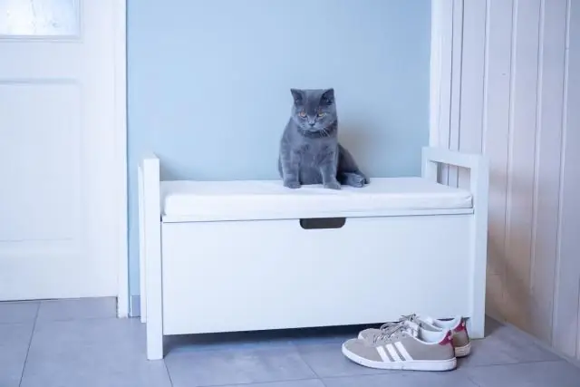 Что хорошо растет с гарденией?